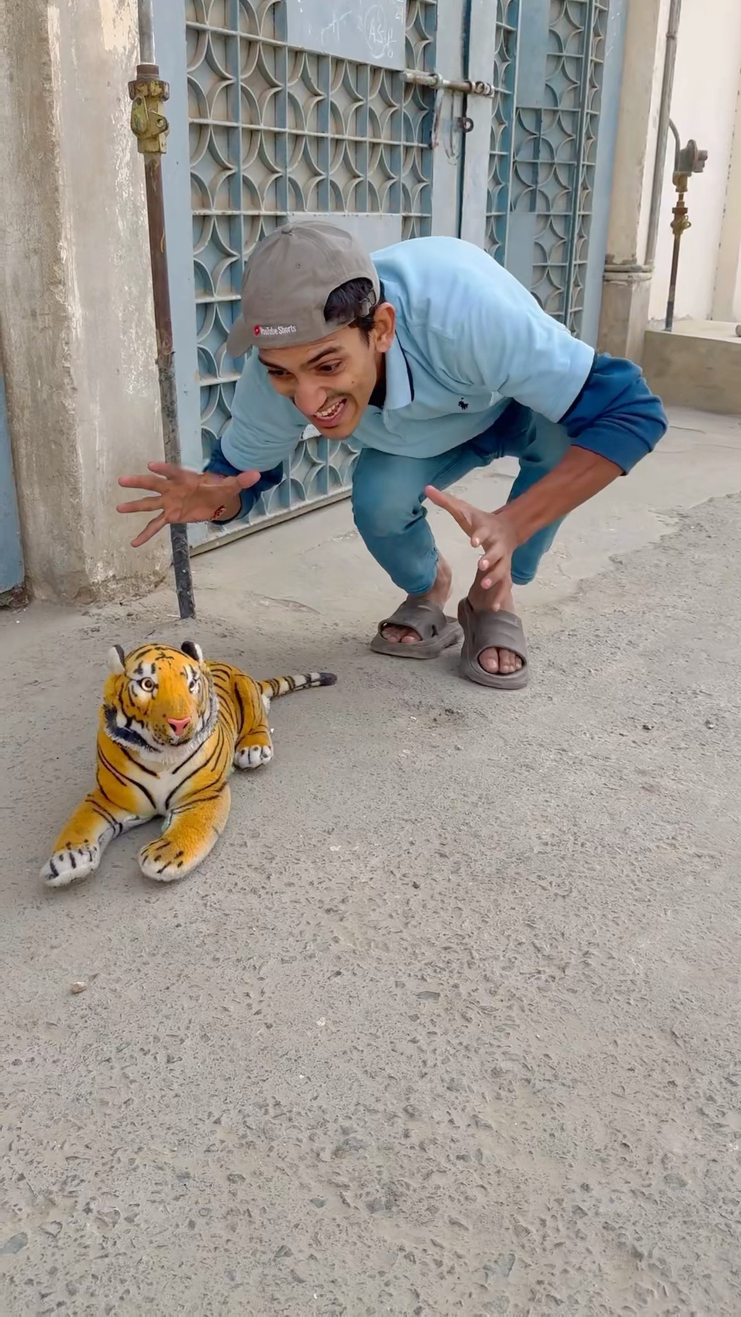 Lion ? Trapping By Man ?|