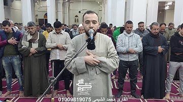 أجمل تلاوات شهر رمضان 2024 بصوت القارئ محمد الشيمى الموهوب من مسجد العمرى سورة الأعراف