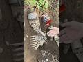 発掘現場で見つかった衝撃の事実