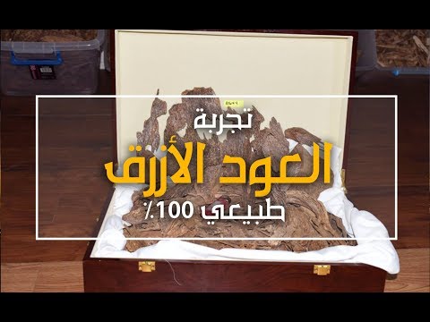 انواع العود