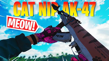 THE CAT NIP AK47 IS MEOW-ERFUL! THE ABSOLUTE BEST CLASS SETUP FOR THE AK47 AR IN COLD WAR 🐱