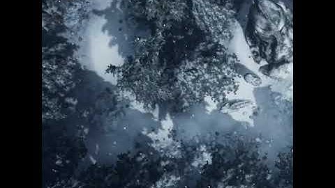 Flyover - Animated Map : The Warrior