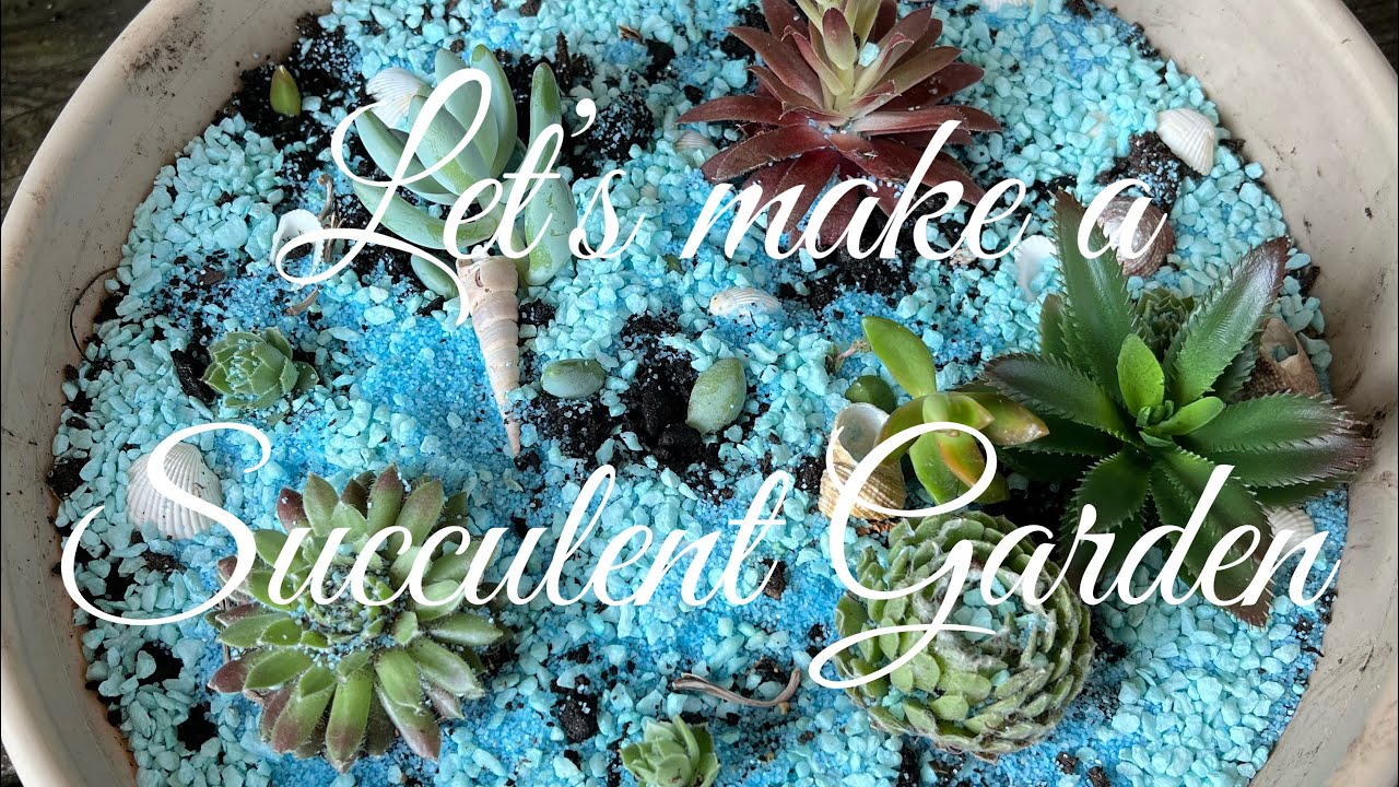 DIY Succulent Garden - YouTube