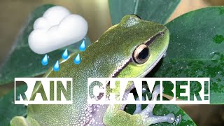 How to make a rain chamber for your frogs!