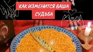 🔥Как Изменится Ваша Судьба🔥Арабское гадание на Чечевице. Вивиена ясновидяшая. 
