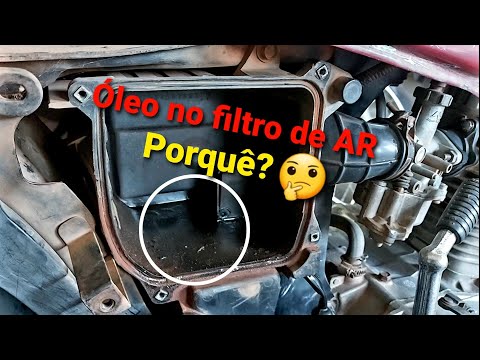 Vídeo: Você pode drenar o óleo pelo filtro de óleo?