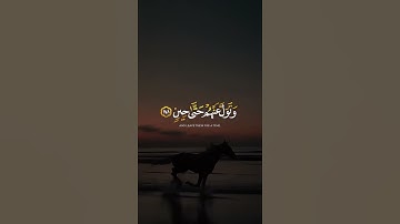 ما تسير من سورة الصافات 🤍 ｜ القارئ أحمد خضر ｜ قرآن كريم