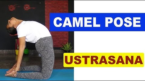How to do Ustrasana | Camel Pose | BackBend Asanas | Foundations Of  Camel Pose | GangothriYogini