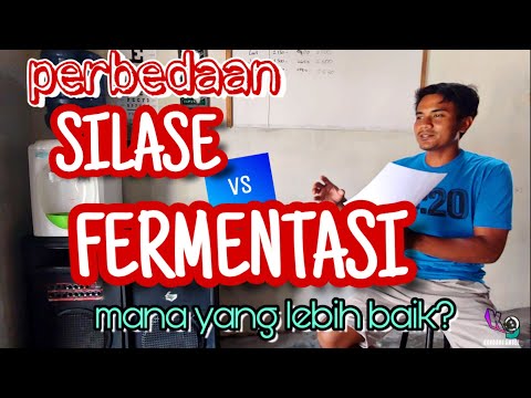 Video: Perbedaan Antara Oksidasi Dan Fermentasi