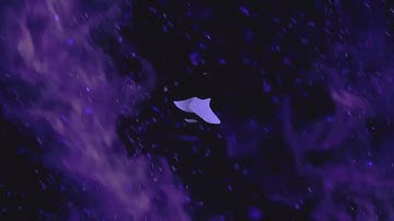 SwiftSole Pro | 03.18.23