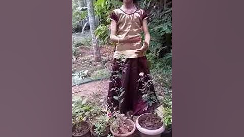 Ritham2020  StoryTelling  DEVIKA PP