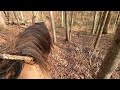 Free camping and trail riding @ Blackwell Horse Camp /Indiana. Hoosier National Forest