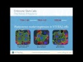 The Study of Stem Cells - Part 1 of 3