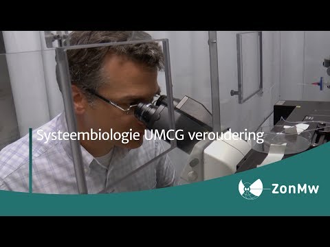 Systeembiologie UMCG veroudering 22 08 2014