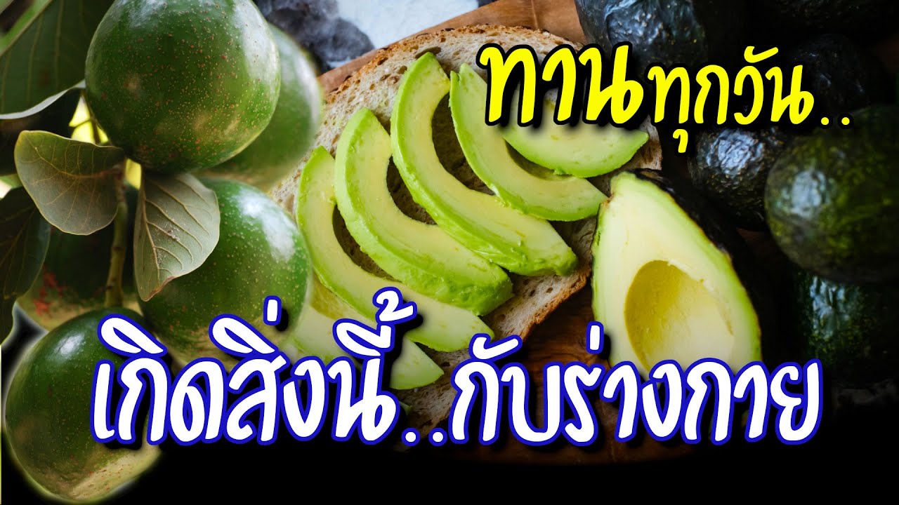 ทานทุกวัน...เกิดสิ่งนี้กับร่างกาย อะโวคาโด avocado  มีประโยชน์อย่างไร