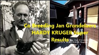 Jan Grondelaers Co Breeding HARDY KRUGER Super Results