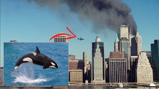The Orca Whale Caused 9/11