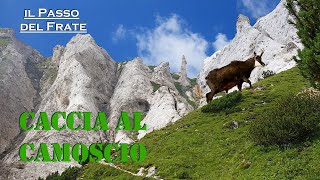 Caccia al camoscio/Hunting chamois_PASSO DEL FRATE