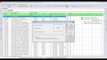 Primavera P6: Open Ends