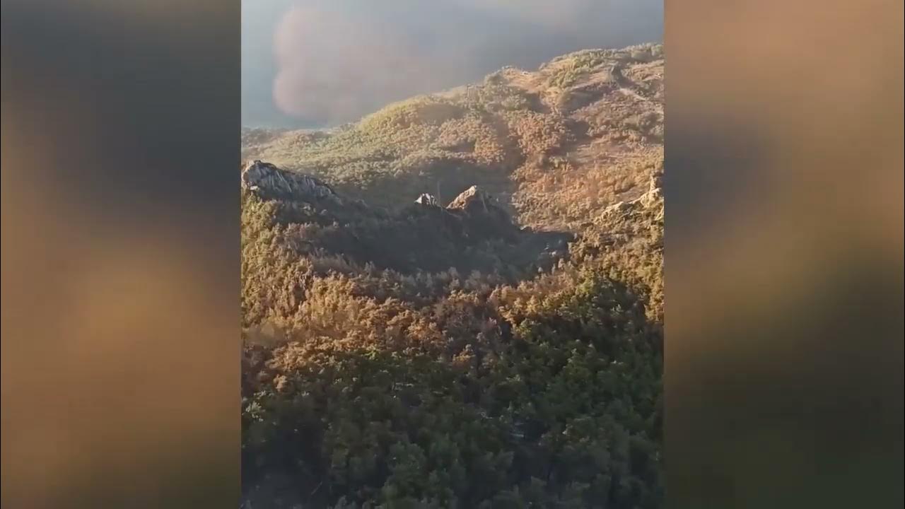MUĞLA'DA ORMAN YANGINI