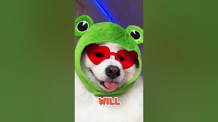 Send this to that one person ❤️ #valentinesday #puppy #samoyed #pets #dogshorts #funny #cutedog