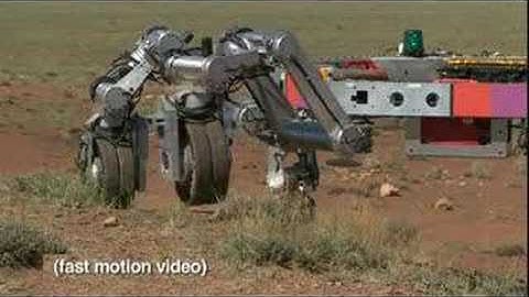 Athlete of the Future