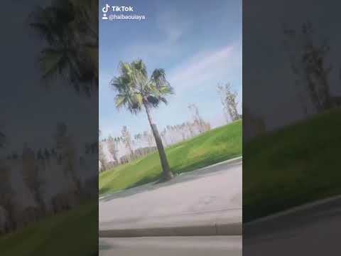 ربي يعطيني الصبر والكوراج نكملها وحدي