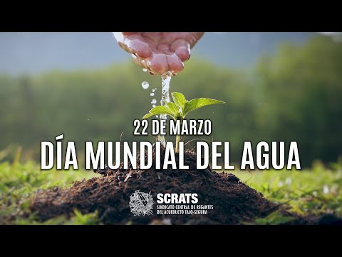 22 de marzo: