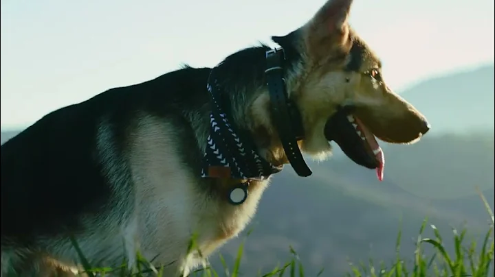 4:3 Aspect Ratio Test - Canon EOS R6