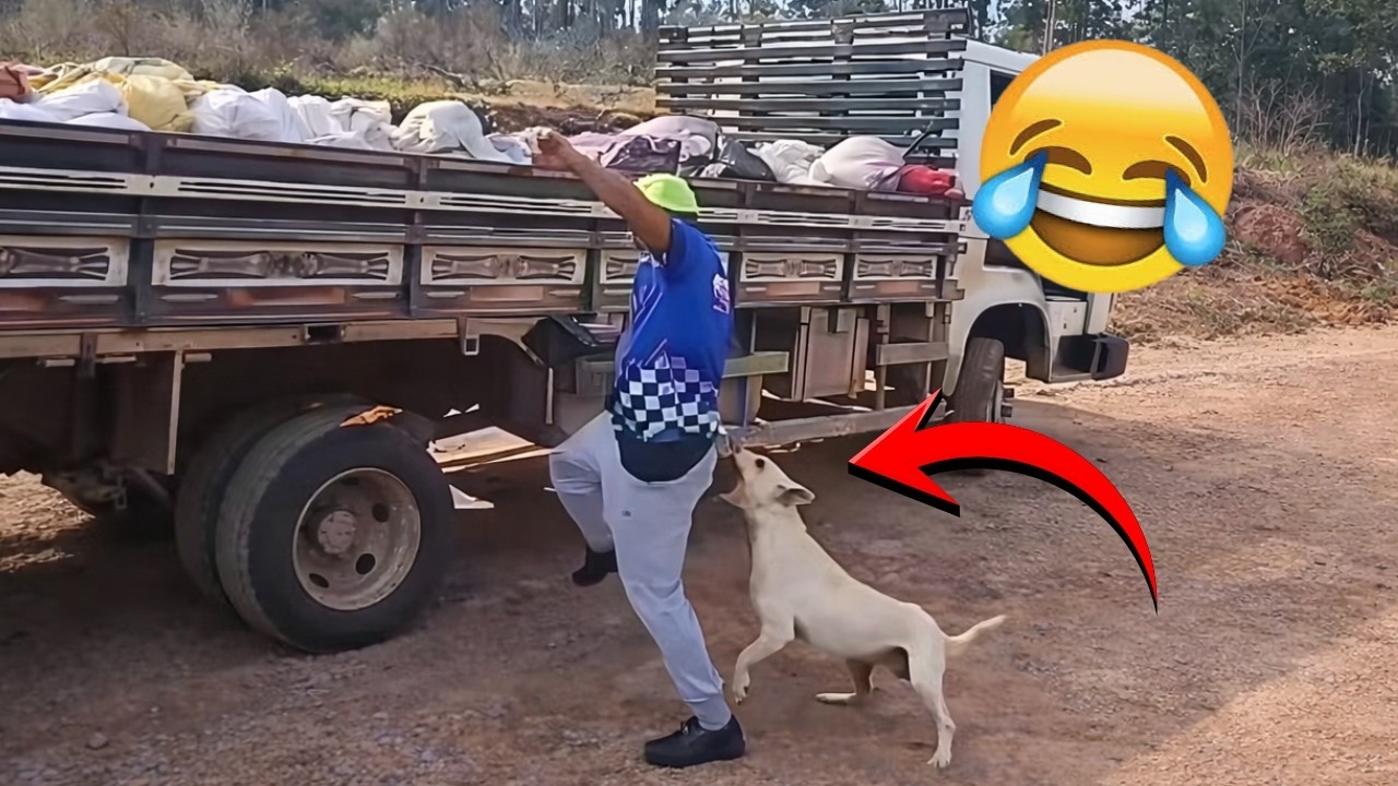 Try NOT to Laugh Challenge 🤣🔥 Top Funniest Videos of the WEEK | Compilation 02