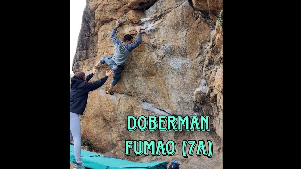 Doberman Fumao (7a) - La Pedriza - Sector Dehesa Central