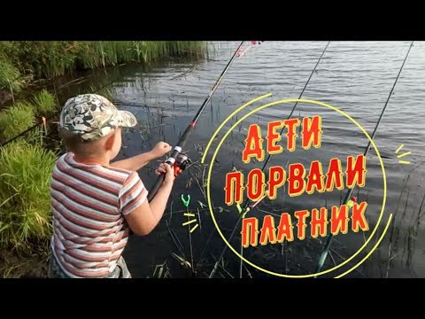 КЛЁВОЕ МЕСТО, ДЕТИ ПОЙМАЛИ БОЛЬШЕ 10 КГ РЫБЫ ЗА 4 ЧАСА, РЫБАЛКА С УДОЧКОЙ в Беларуси