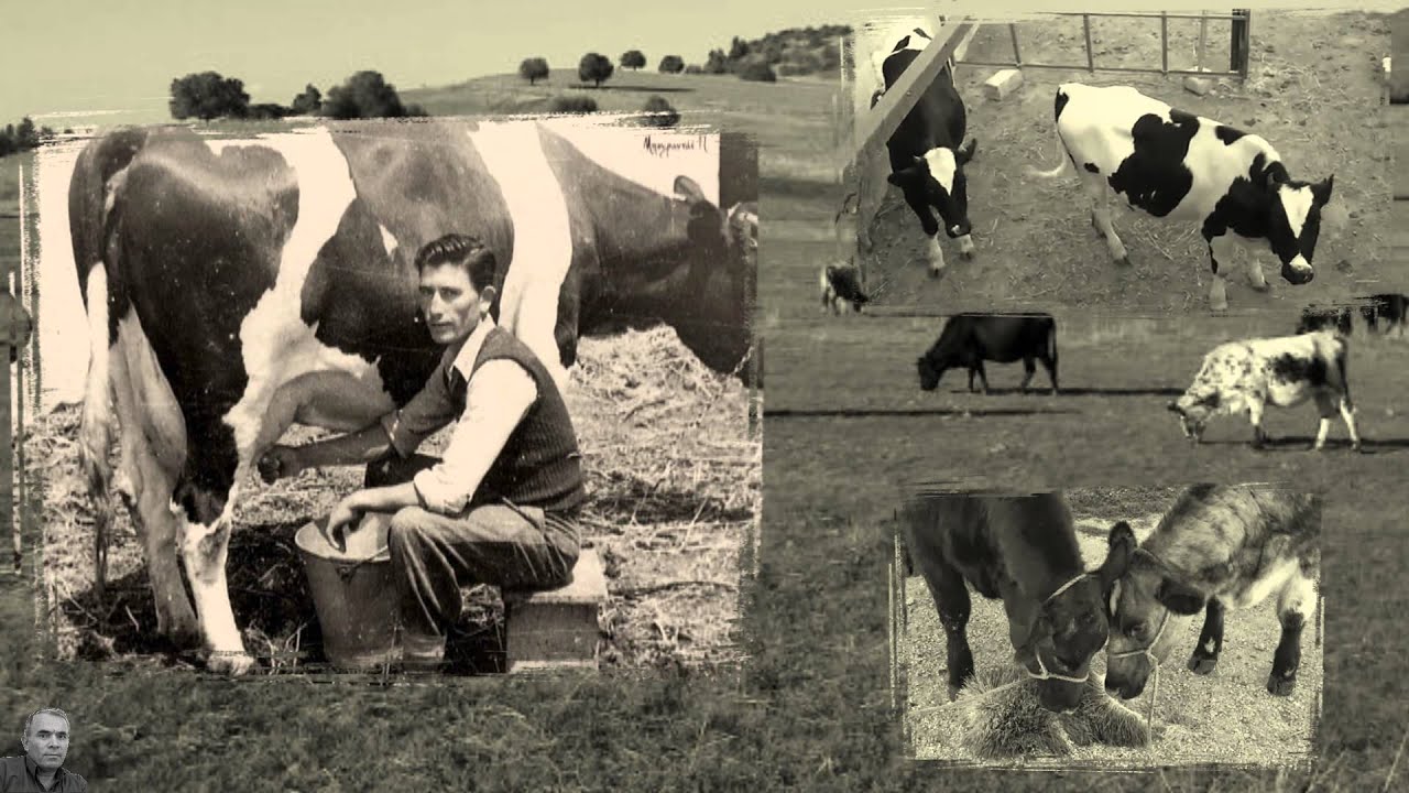 Ο Παλιός Ασπρόπυργος (βασικές ασχολίες των κατοίκων) (HD)