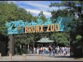 UN DÍA DE PASEO EN EL ZOOLÓGICO DE BRONX NEW YORK