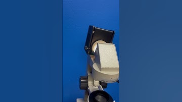 Nikon Diaphot TMD Phase Contrast Inverted Microscope 1980s Halogen Bulb 12V-50 W