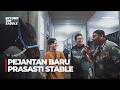 Pejantan Baru Prasasti Stable! Hengki Yandrika &amp; Arya D. Prasetya Intip Jabali, Impor Australia