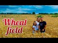 Ukrainian wheat field. Mavic Air cinematic 4k