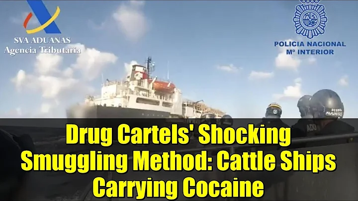 Drug Cartels' Shocking Smuggling Method: Cattle Ships Carrying Cocaine