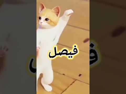 حسب الطلب فيصل مصر الجزائر العراق عمان السعودية تركيا امارات