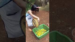 Shura Kitchen Garden !! Shura as a Funny Magician !! Assamese Girls Kitchen Garden !!