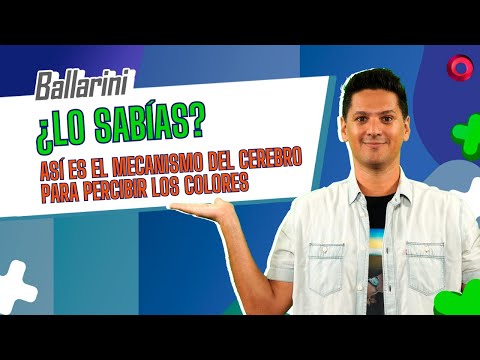 ¿Lo sabías? Así es el mecanismo del cerebro para percibir los colores | #medicodefamilia