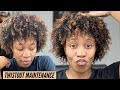 143 Night Time Twistout Routine | Chit Chat: Natural Hair Terms, Migraines, and Nat Reacts