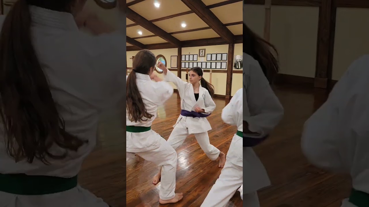 Karate- Kata, Kihon, Kumite. #martialarts #floridabudokan #karate