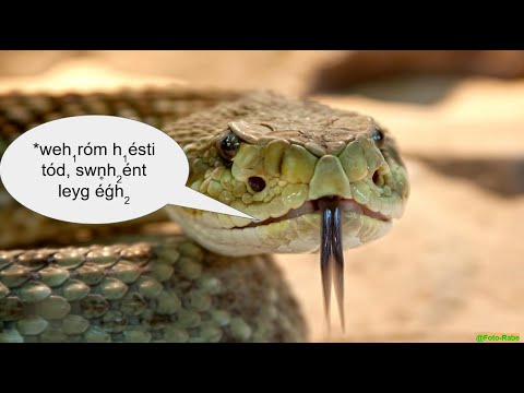 Why I hate these standard linguistic conventions