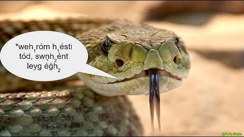 Why I hate these standard linguistic conventions