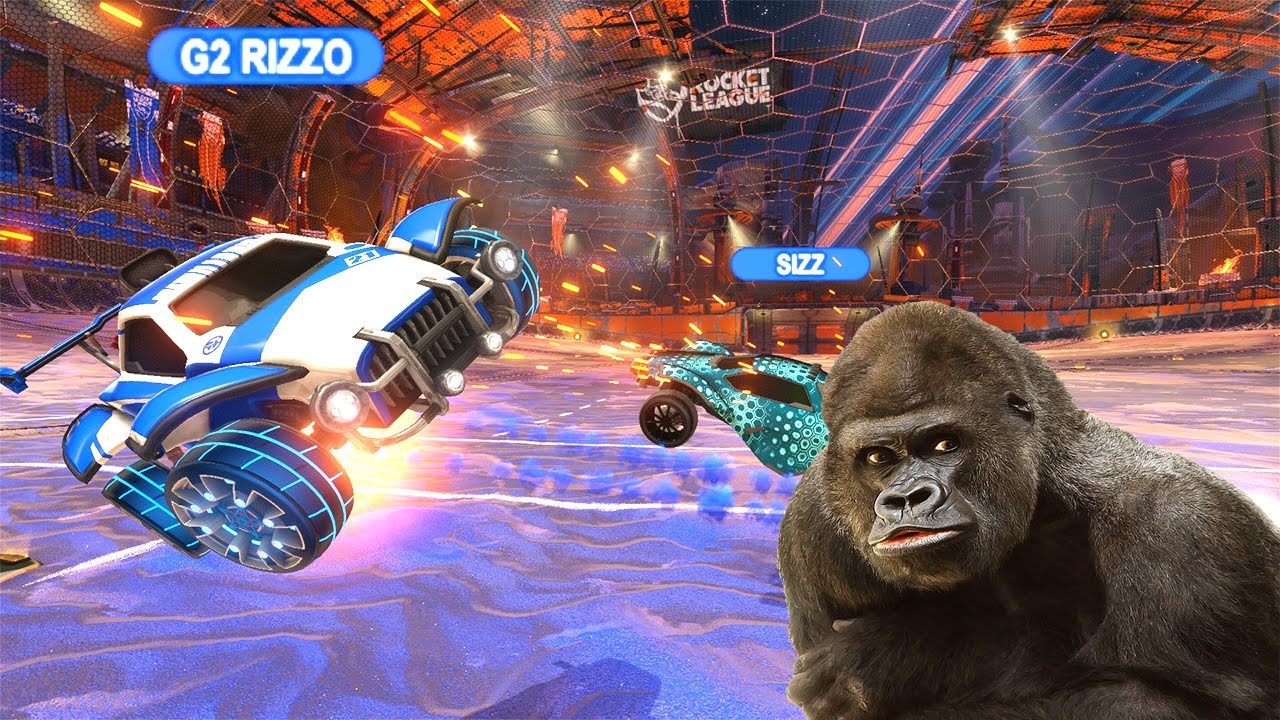 TAKING A VISIT TO THE ZOO - YouTube