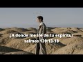 ¿A donde me iré de tu espíritu? Salmos 139:13-18/Devoción (español)