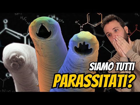 Andrea Bag Parasites