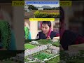 DHAANISH AHAMAD COLLEGE OF ENGINEERING