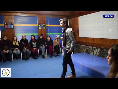 გუნდური მუშაობა-ფუნქციების გადანაწილება